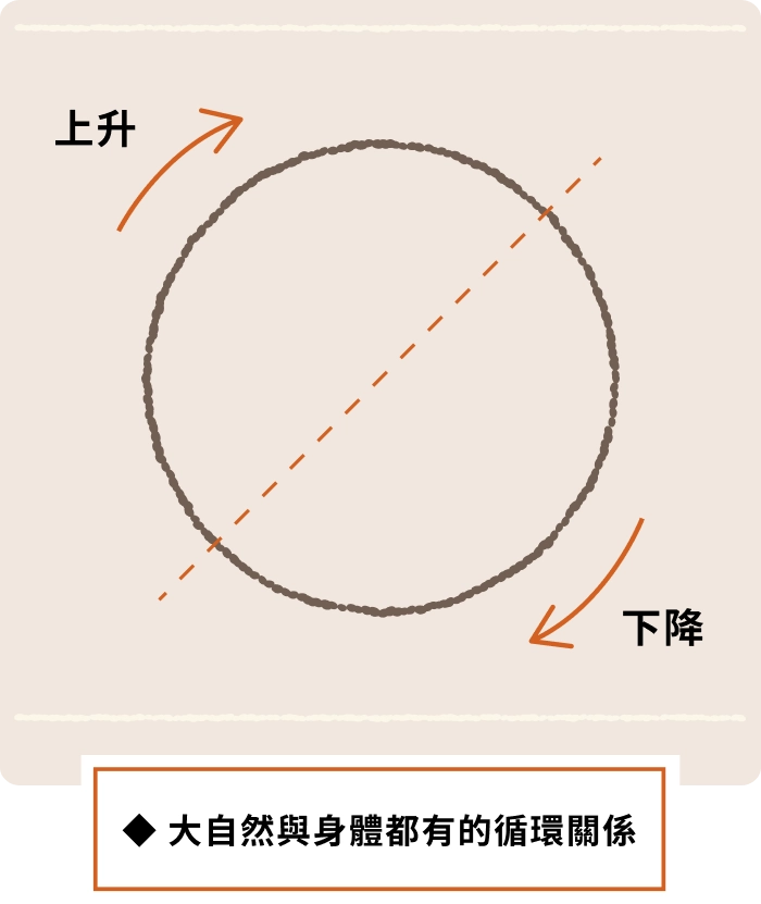 ◆ 大自然與身體都有的循環關係