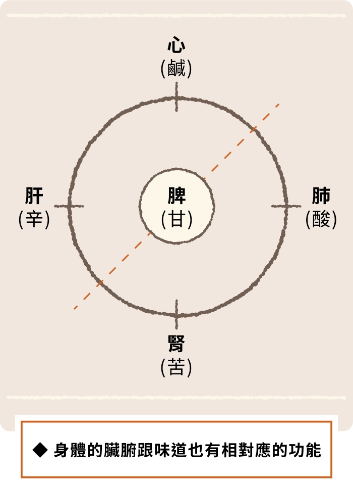 ◆ 身體的臟腑跟味道也有相對應的功能