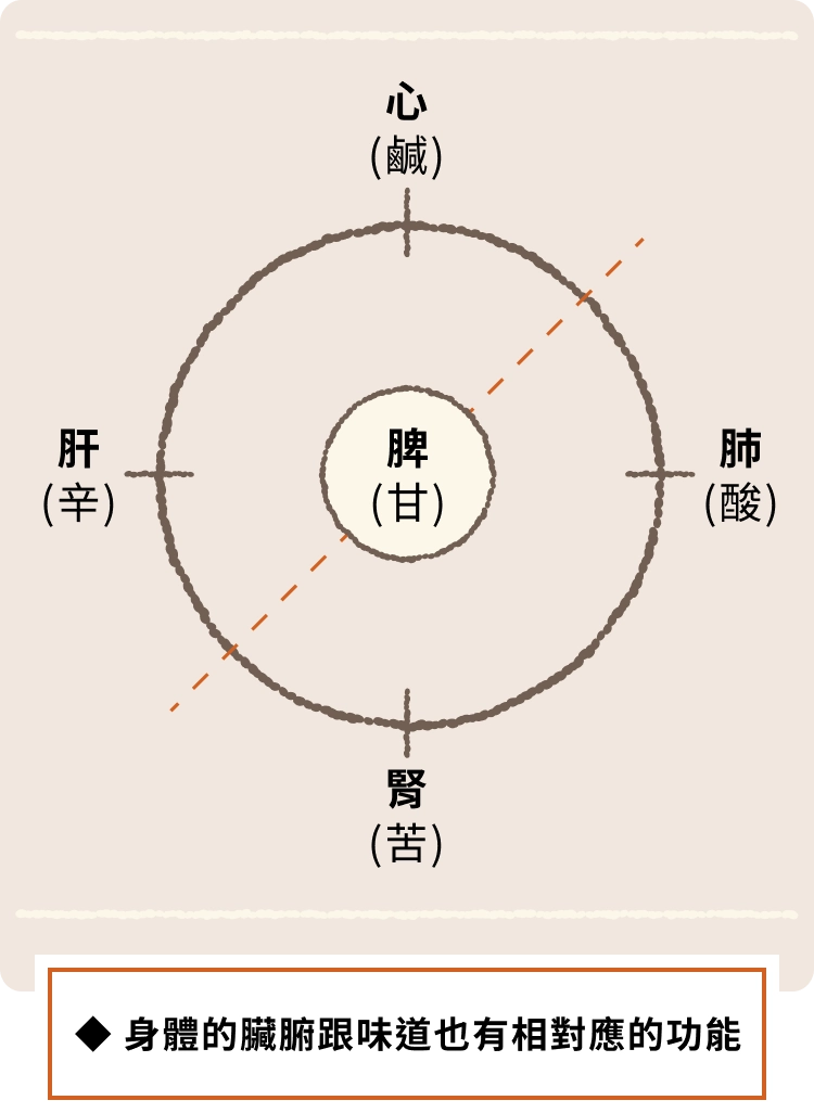 ◆ 身體的臟腑跟味道也有相對應的功能