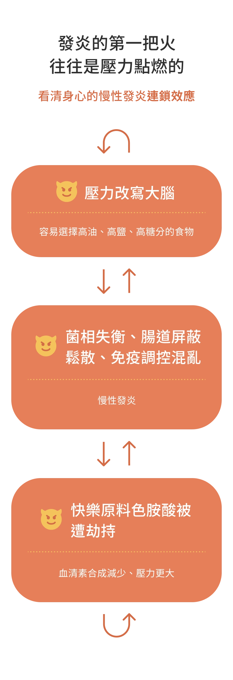 發炎的第一把火，往往是壓力點燃的。看清身心的慢性發炎連鎖效應：壓力改寫大腦，容易選擇高油、高鹽、高糖分的食物；慢性發炎影響腸道、免疫系統，引起皮膚過敏、關節發炎、腸道粘膜破損，甚至影響大腦與情緒；腦腸失衡改變色胺酸代謝，情緒失衡、睡眠品質變差、抗壓性更低。