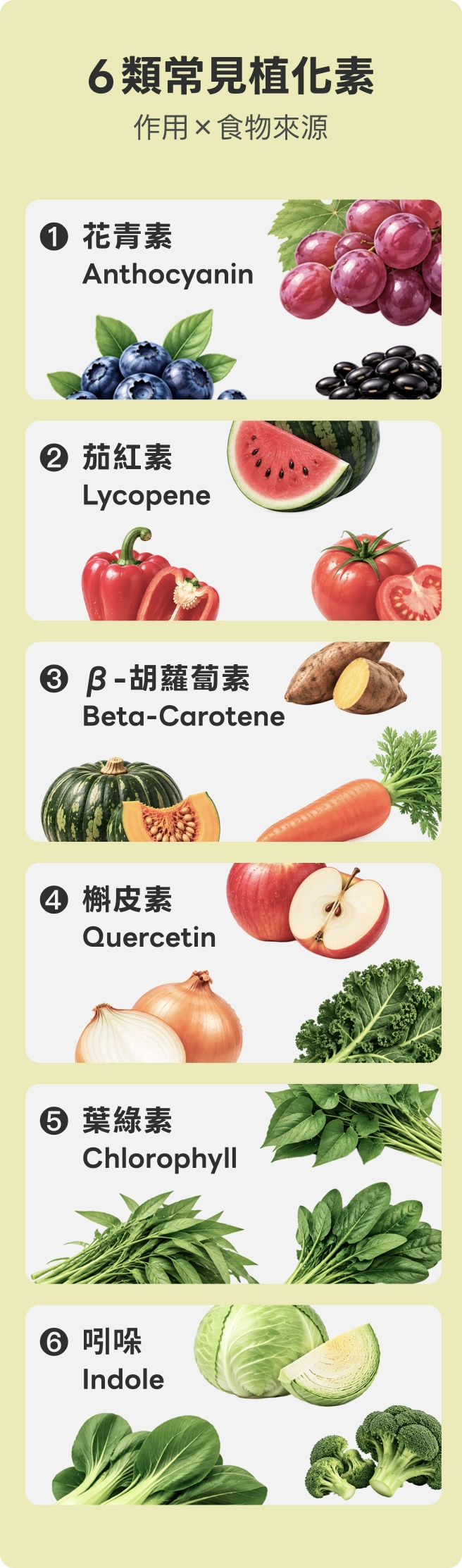 6 類常見植化素（作用 × 食物來源）：1. 花青素 Anthocyanin；2. 茄紅素 Lycopene；3. β-胡蘿蔔素 Beta-Carotene；4. 槲皮素 Quercetin；5. 葉綠素 Chlorophyll；6. 吲哚 Indole。