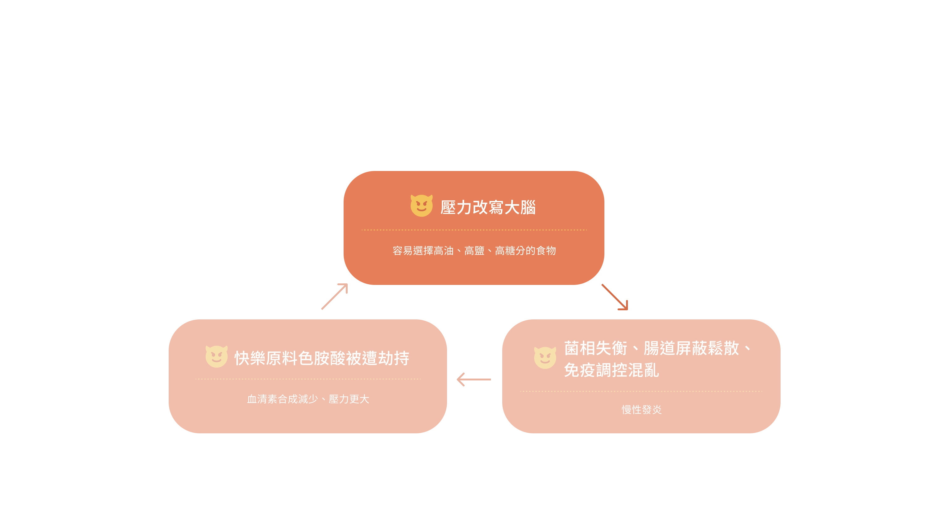 發炎的第一把火，往往是壓力點燃的。看清身心的慢性發炎連鎖效應：壓力改寫大腦，容易選擇高油、高鹽、高糖分的食物；慢性發炎影響腸道、免疫系統，引起皮膚過敏、關節發炎、腸道粘膜破損，甚至影響大腦與情緒；腦腸失衡改變色胺酸代謝，情緒失衡、睡眠品質變差、抗壓性更低。