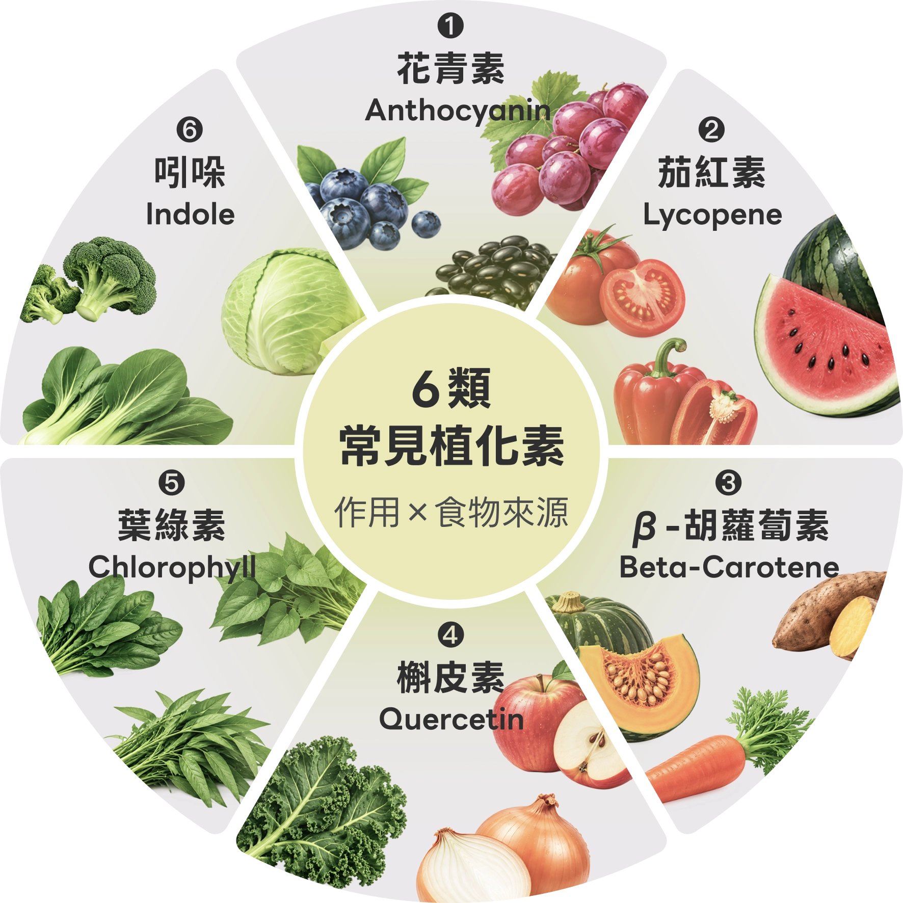 6 類常見植化素（作用 × 食物來源）：1. 花青素 Anthocyanin；2. 茄紅素 Lycopene；3. β-胡蘿蔔素 Beta-Carotene；4. 槲皮素 Quercetin；5. 葉綠素 Chlorophyll；6. 吲哚 Indole。